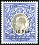 Stamp of Nyasaland » British Central Africa 1903-63 Attractive, clean & valuable assembly on m