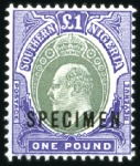 Stamp of Nigerias » Southern Nigeria 1903-12 Mint SPECIMEN sets incl. 1903-04 set of 11
