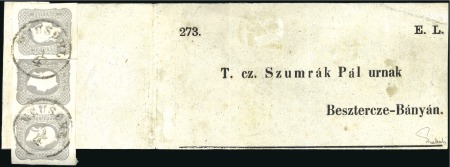 Stamp of Hungary 1861 1.05Kr grau (zwei versch. Nuancen) Einzelstüc