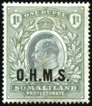 Stamp of Somaliland Protectorate COLLECTIONS: 1903 Specialised mint & used collecti