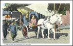 Stamp of China PUBLISHERS C - Camera Craft Co., Peking, selection