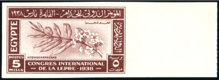 Stamp of Egypt » Commemoratives 1938 International Leprosy Congress 5m red-brown i