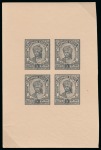 Stamp of Indian States » Indian States Collections and Lots Indian Feudatory States - Barwani Awarding winning collection