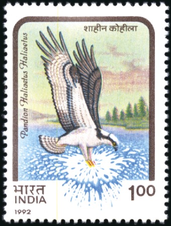 Stamp of India 1992 Bird of Prey ERROR, with 1r value instead of 
