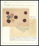 Stamp of Turkey 1876-92 "Empire" Issue collection neatly mounted a