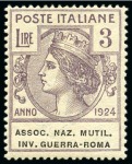 Stamp of Italy 1924 "Assoc. Naz. Mutil. Inv. Guerra-Roma" Agency,