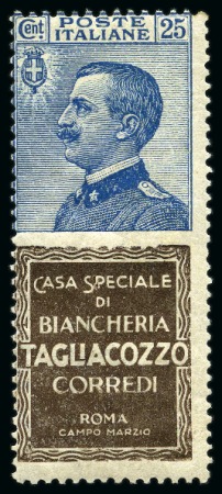 Stamp of Italy 1924-25, Publicity stamps, 25C Blue with TAGLIACOZ