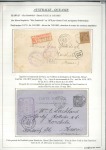 Stamp of France HAWAI Deux lettres sur pages d'exposition dont rarissime