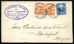 Stamp of Peru 1896 Cover franked 1895 issue 10C Lama orange (pai