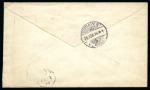 Stamp of Peru 1896 Cover franked 1895 issue 10C Lama orange (pai