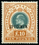 Stamp of South Africa » Natal 1902-09, KEVII mint & used collection on album pages incl. high values and Specimens