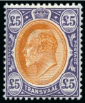 Stamp of South Africa » Transvaal 1903 £5 Orange-Brown & Violet mint hr, very fine
