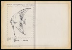 Stamp of South Africa » Union & Republic of South Africa 1974 Definitive issue series of 9 preliminary ink drawings of fish by the artist Ernst de Jong in Pretoria made in 1970