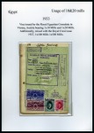 Stamp of Egypt » Revenues Hungarian passport (complete) with page inside showing 1924 & 1927 Consular Service stamps