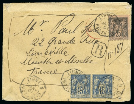 Stamp of France » Type Sage 1876-1900 1886-1901, Ensemble de 2 pages d'exposition sur la