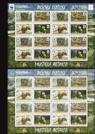 Stamp of Tajikistan 2013 WWF Issue Mountain Weasel in se-tenant sheetlets