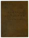 Stamp of Olympics » Non-Olympic and Anti-Olympic Championships 1922 Svenska Spelen (Swedish Games) award plaque in bronze