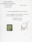 Stamp of Hungary 1871-1872, Lot of eleven first issue items, nine lithographed