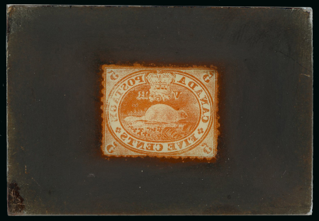 Stamp of Canada Canada - 1859 5c vermilion "The Beaver". Glass support cliché