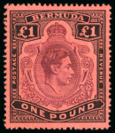 Stamp of Bermuda 1938-53, £1 deep reddish purple on black on pale red paper showing "broken lower right scroll" variety, mint