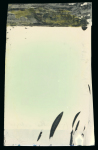 Stamp of Hong Kong Hong Kong -