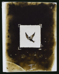Stamp of Switzerland / Schweiz » Kantonalmarken » Basel Switzerland, Canton Basel - 1845 "Basel Dove" 2 1/2rp, the delightful group of ten