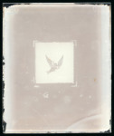 Stamp of Switzerland / Schweiz » Kantonalmarken » Basel Switzerland, Canton Basel - 1845 "Basel Dove" 2 1/2rp, the delightful group of ten