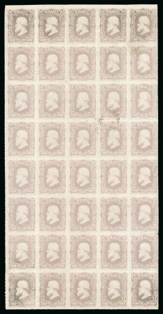 Stamp of Brazil 1877, 20r violet, vertical block of 40 (5x8) mint