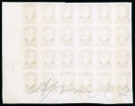 Stamp of Brazil » 1866-83 Dom Pedro » 1877-78 Roulette "White Beard" Issue 1878, 300r ochre, imperforate plate proofs on India