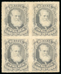 Stamp of Brazil » 1866-83 Dom Pedro » 1877-78 Roulette "White Beard" Issue 1878, 1,000r grey slate, a very fresh block of four