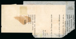 Stamp of Brazil » 1866-83 Dom Pedro » 1876 Roulette "Black Beard" Issue 1876, 20r brown-lilac, single and pair on printed matter