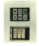 Stamp of Large Lots and Collections Sperati Personal Records - group of nine glass clichés