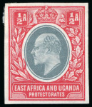 Stamp of Kenya, Uganda and Tanganyika » Kenya, Uganda and Tanganyika 1903 1/2a colour trials imperforate on gummed watermarked paper (12)