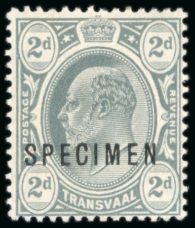 Stamp of South Africa » Transvaal 1909 wmk multi CA 2d grey mint l.h. with "SPECIMEN"