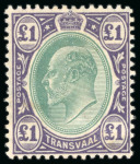 Stamp of South Africa » Transvaal 1902-05 mint range of KEVII issues on a Hagner