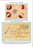 Stamp of Large Lots and Collections 1885-1946 Award-winning exhibition collection of the