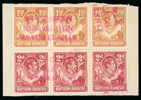 Stamp of Northern Rhodesia 1941 1 1/2d and 2d. colour changes horizontal strips
