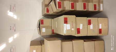 Stamp of Large Lots and Collections Belgium, 1921-1980, Massive and well organized accumulation