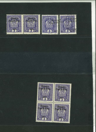 Stamp of Ukraine » Western Ukraine 1919 Sch on 3H bluish violet, two singles, pair and
