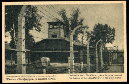 Stamp of Large Lots and Collections » Picture Postcards Poland: Group of 9 different unused picture postcards of the WWII German concentration camp at Oswiecim.