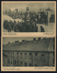 Stamp of Large Lots and Collections » Picture Postcards Poland: Group of 9 different unused picture postcards of the WWII German concentration camp at Oswiecim.