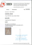 Stamp of Switzerland / Schweiz » Sitzende Helvetia Ungezähnt » 1856-57 Berner Druck (II) 1856, 5 Rp. braun 1. Berner Druckperiode, ungebraucht mit Originalgummi