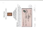 Stamp of Bulgaria 1894 BULGARIA 3rd issue BISECTED 5St green tied to small printed matter envelope by RUSTCHUK cds