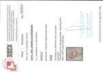 Stamp of Switzerland / Schweiz » Sammlungen 1843-1850, kleine Steckkarte mit 4 Kantonalmarken