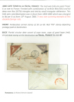 Stamp of South Africa » Cape of Good Hope 1860 CAPE TOWN to La Flèche, FRANCEThe mail was fully