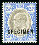 Stamp of South Africa » Transvaal » 1902-03 Watermark Crown CA » Specimens 1902-03 Watermark Crown CA ½d. used, 2 1/2d mint marginal pair and single overprinted “SPECIMEN”, all with watermark inverted variety