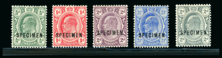 Stamp of South Africa » Transvaal » 1905-09 Watermark Multiple Crown CA Monocolours » Specimens 1905-09 Watermark Multiple Crown CA Monocolours Specimen