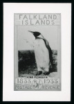 Stamp of Falkland Islands 1933 Tercentenary photographic essays, 11 values (excl.