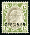 Stamp of South Africa » Transvaal » 1905-09 Watermark Multiple Crown CA Monocolours » Issued Stamps 1/-, (2), 5/-, £1 and £5 each overprinted "SPECIMEN"