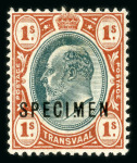 Stamp of South Africa » Transvaal » 1905-09 Watermark Multiple Crown CA Monocolours » Issued Stamps 1/-, (2), 5/-, £1 and £5 each overprinted "SPECIMEN"